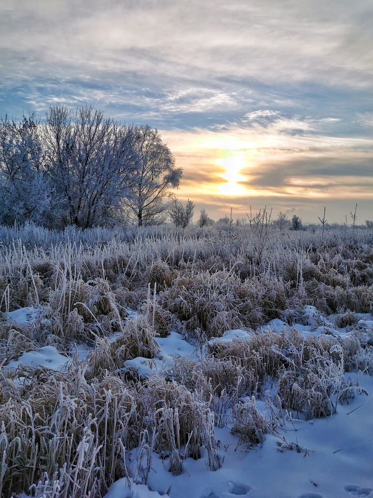 Photograph by Елена Артёменко
