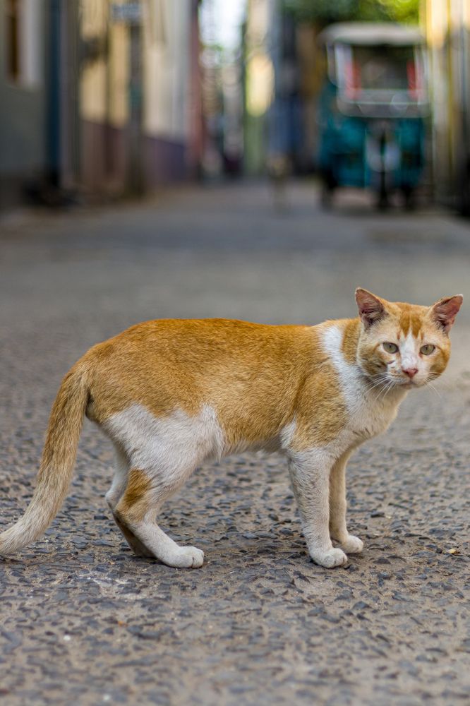 Photograph by Suparnojit Sarkar