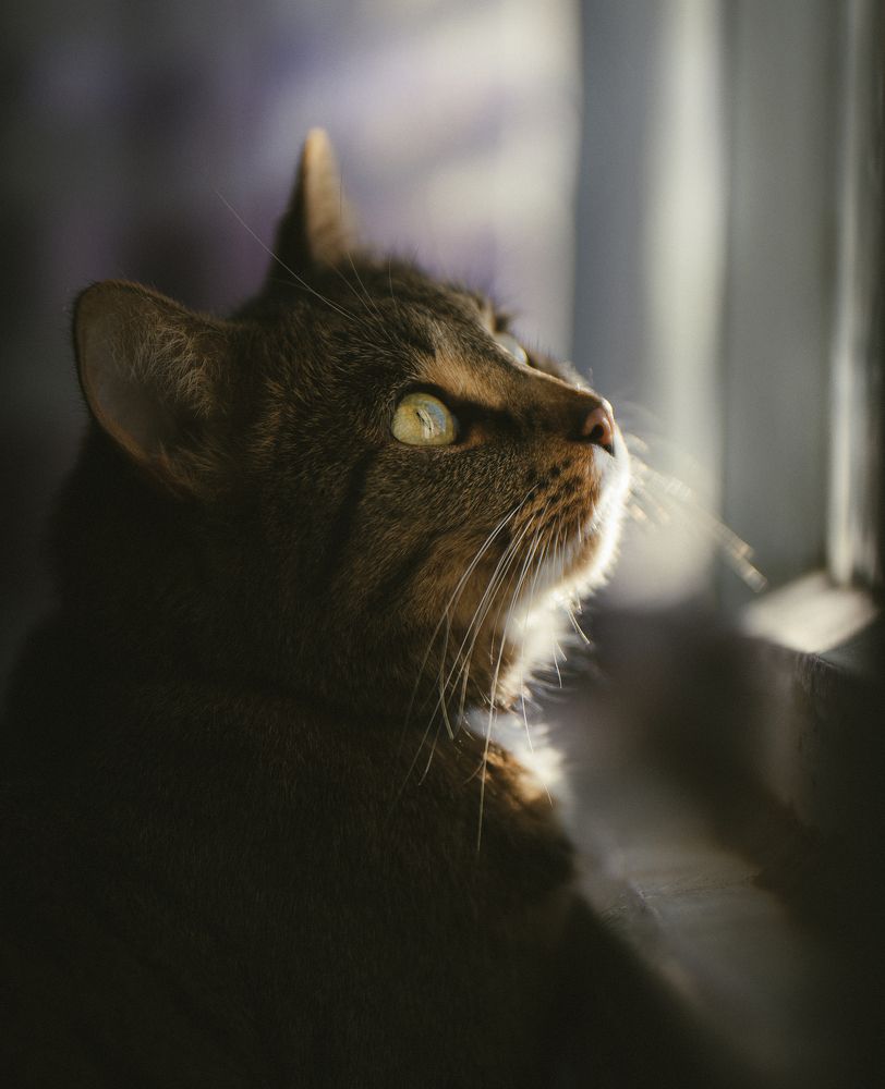Photograph by Мария Шевченко