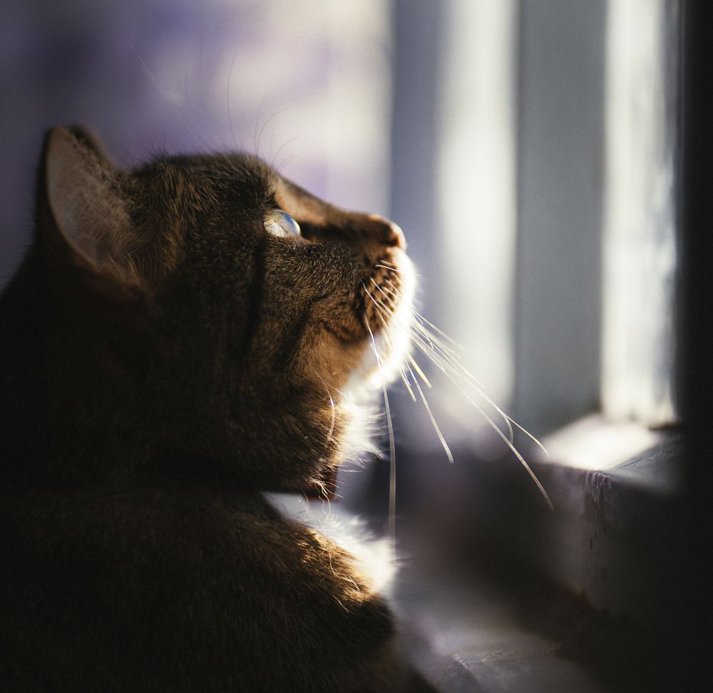 Photograph by Мария Шевченко