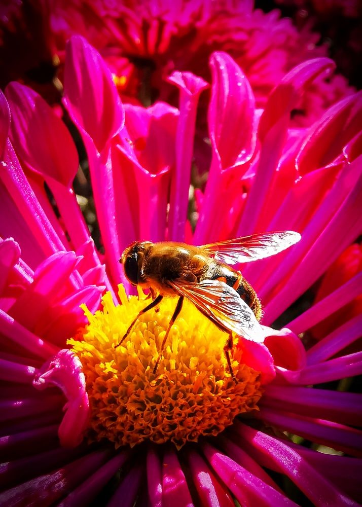 Photograph by Мария Цепилова