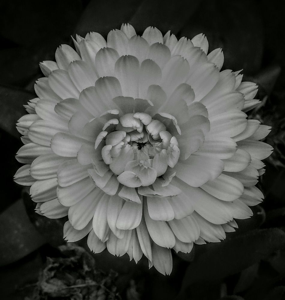 Photograph by Viana Vaseqi