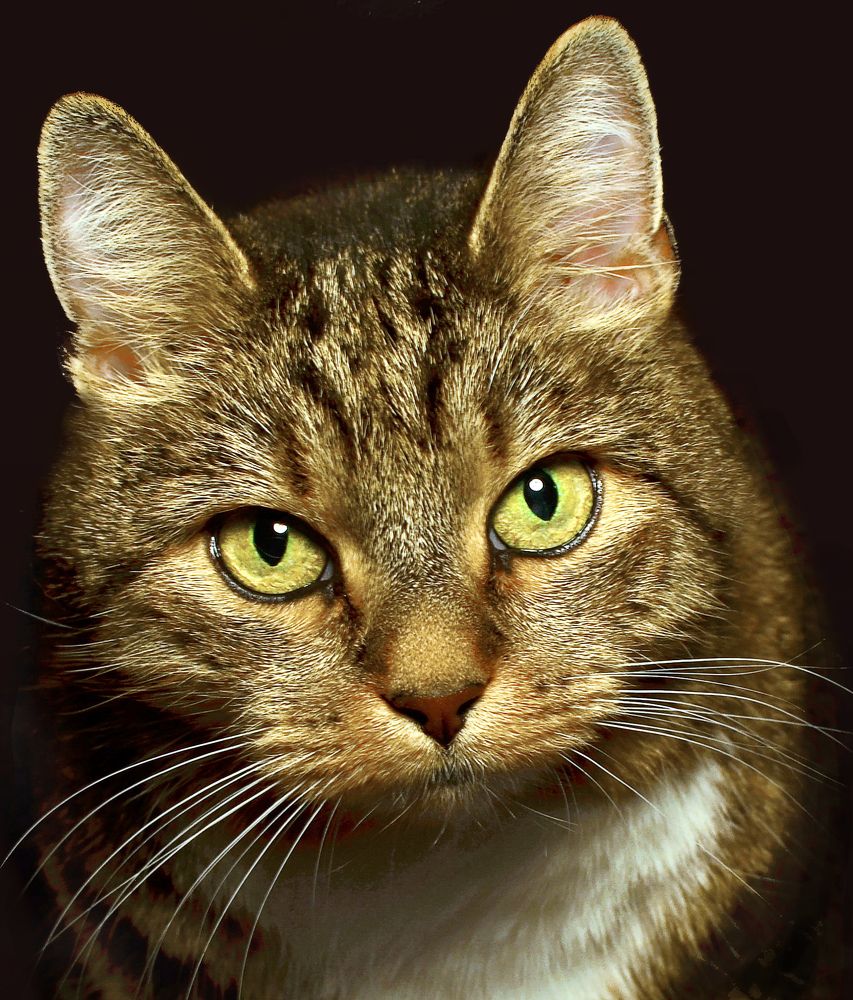 Photograph by Лидия Ушакова