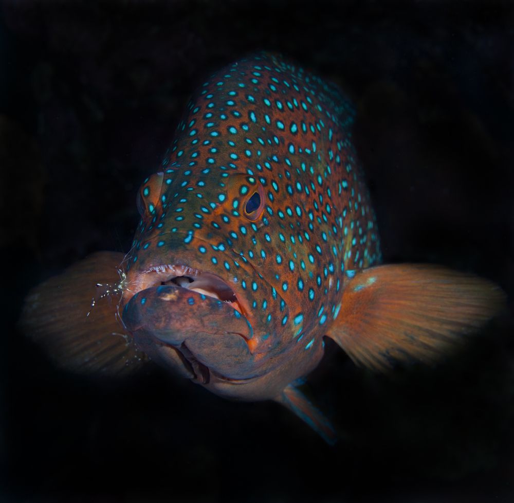 Photograph by Юрий Перевозников