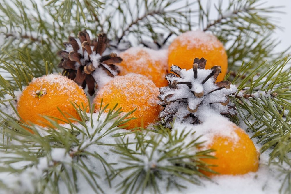 Photograph by Елена Чащина