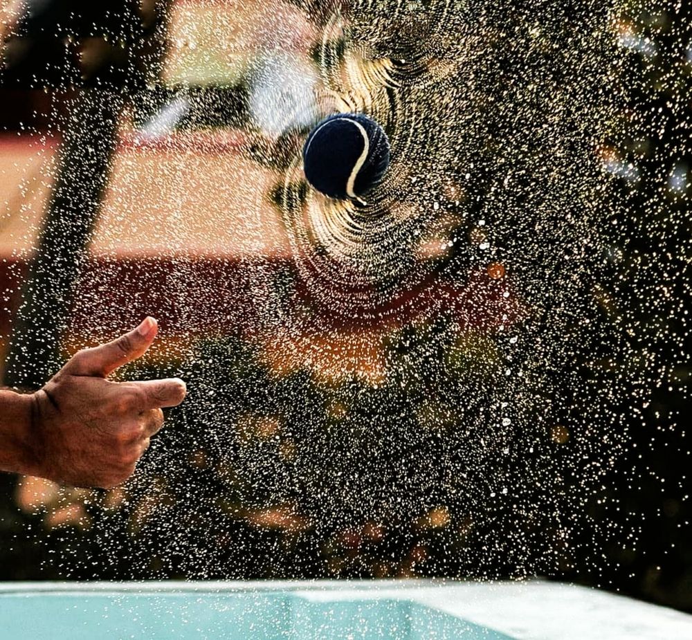 Photograph by Aakash Sridhar