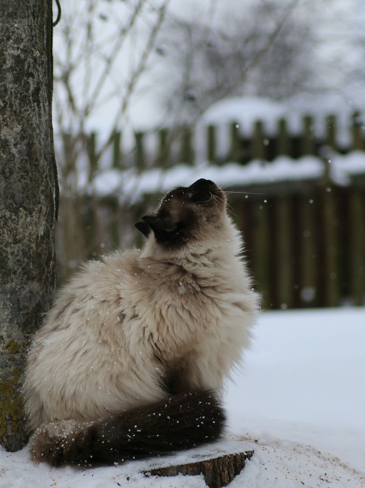 Photograph by Светлана Богомолова