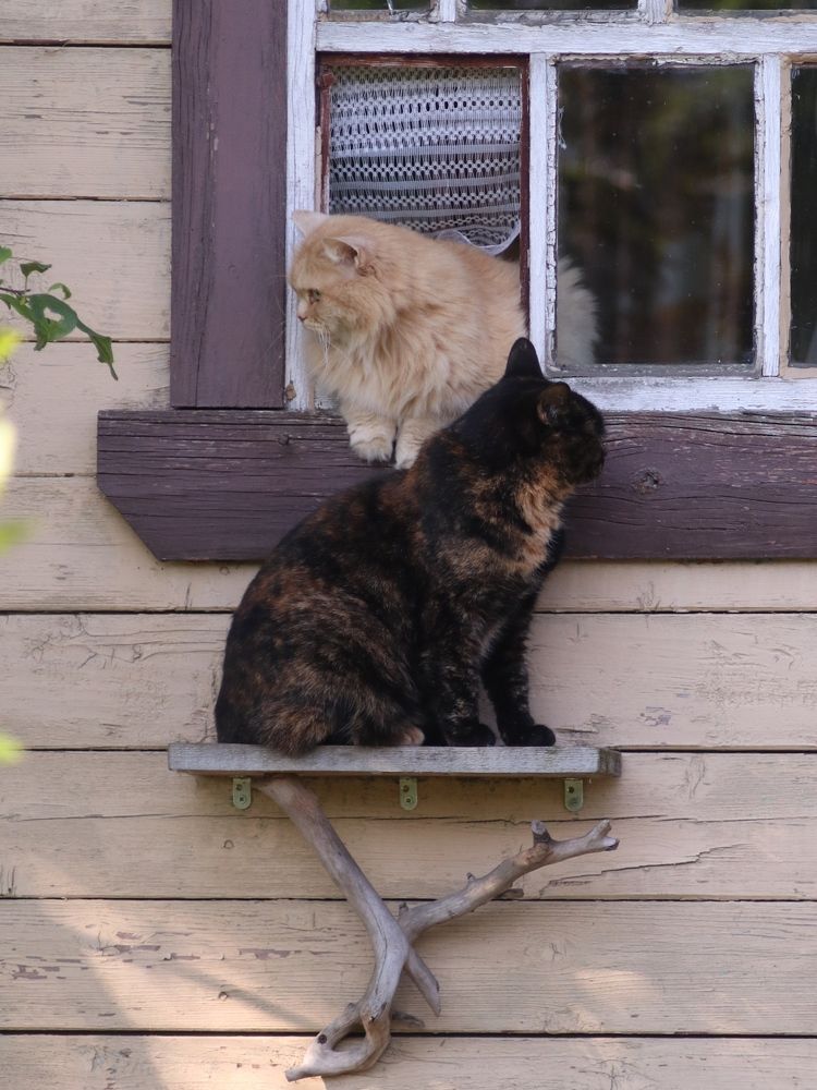 Photograph by Светлана Богомолова