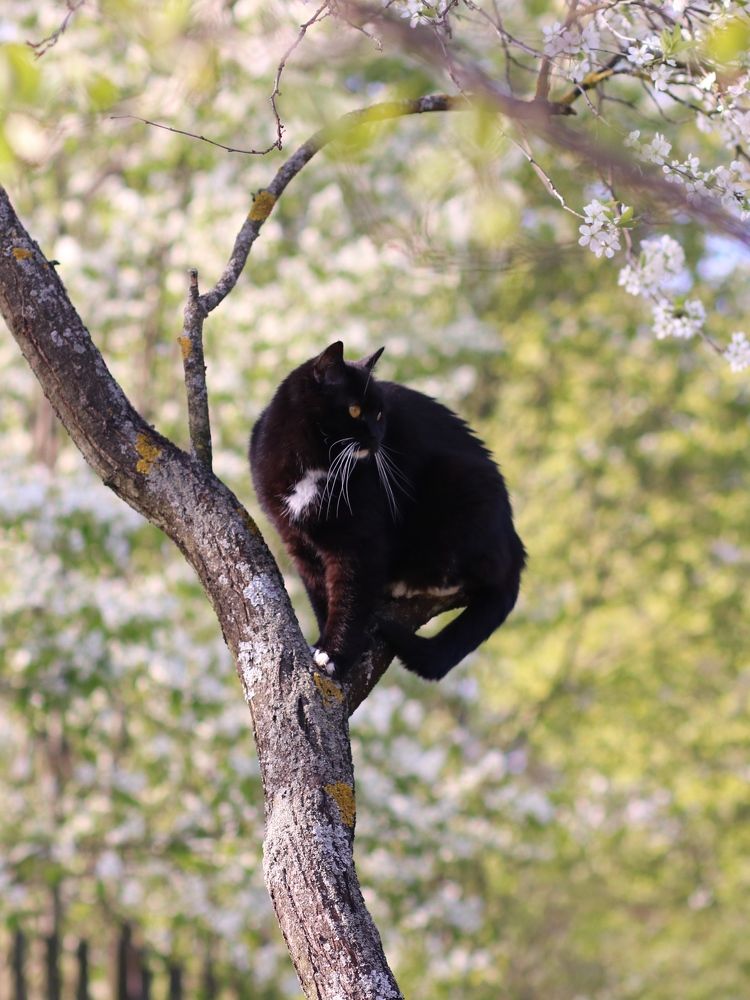 Photograph by Светлана Богомолова