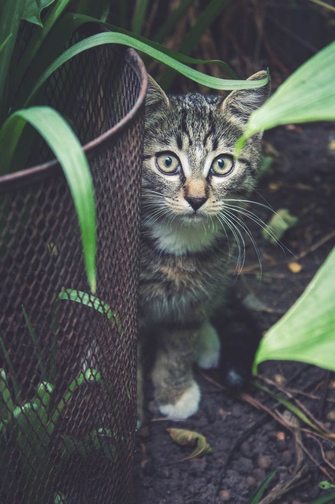 Photograph by Наталья Шёлкова