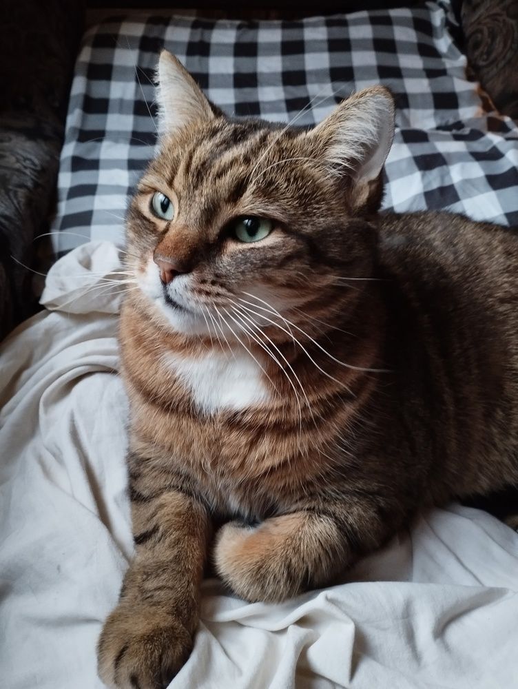 Photograph by Наталья Шёлкова