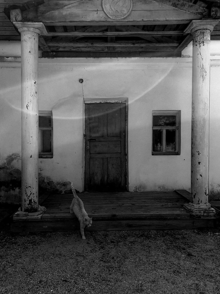 Photograph by Катя