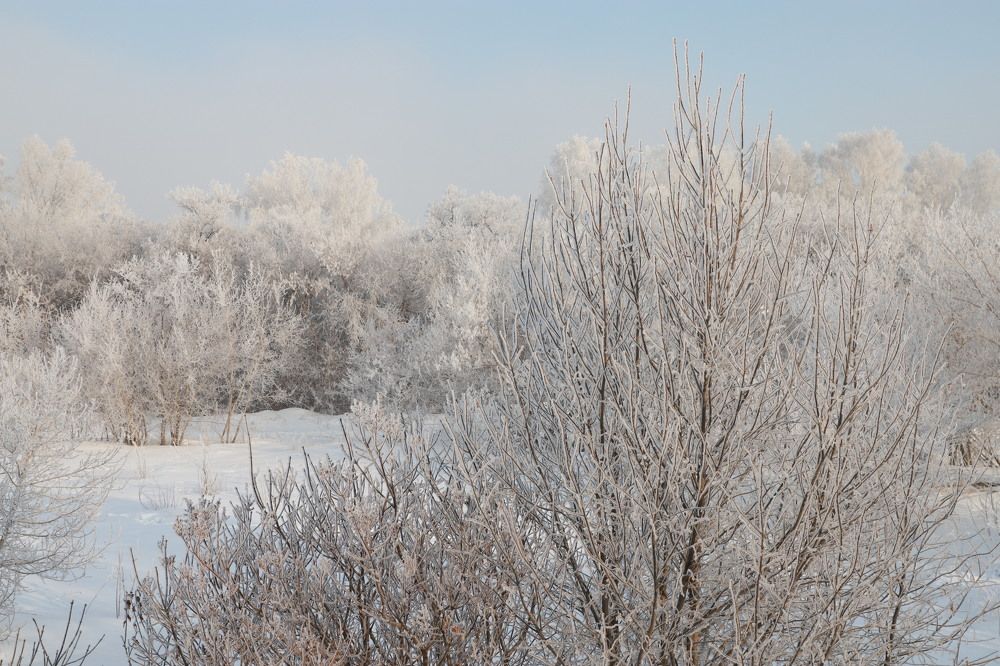 Photograph by Оксана Соколова