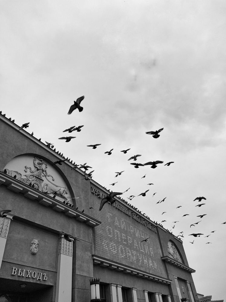 Photograph by Вячеслав Щёголев