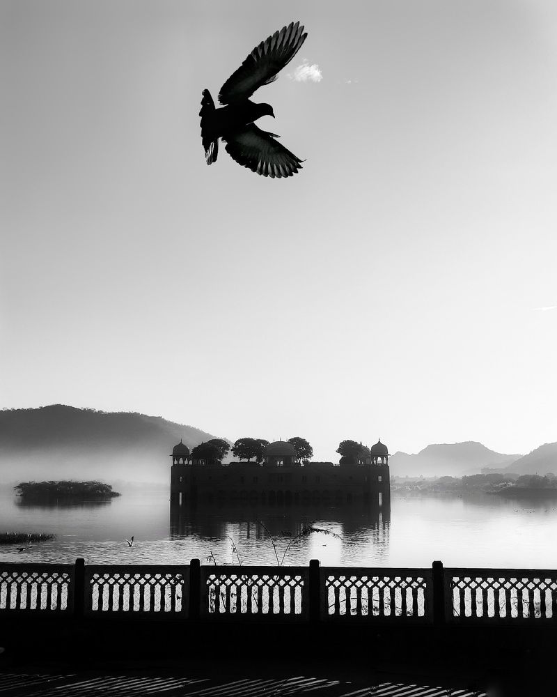 Photograph by Gourav Yadav