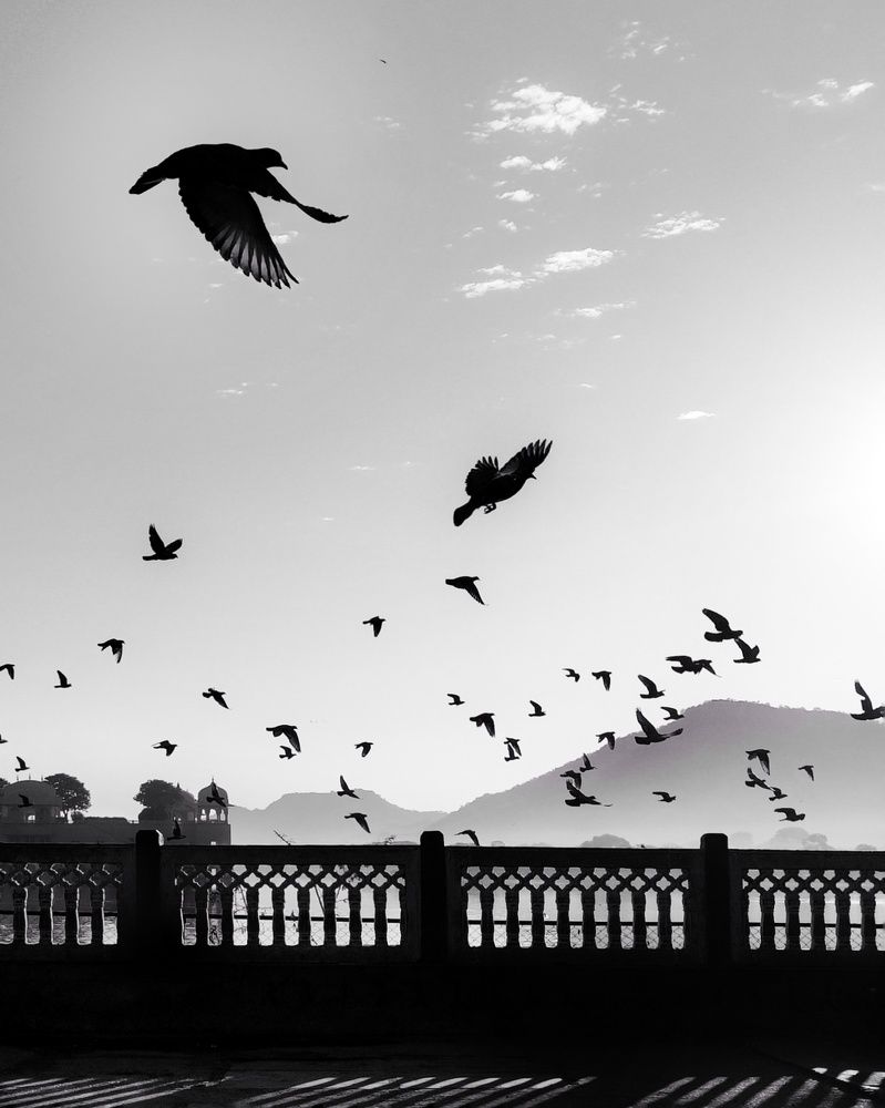 Photograph by Gourav Yadav