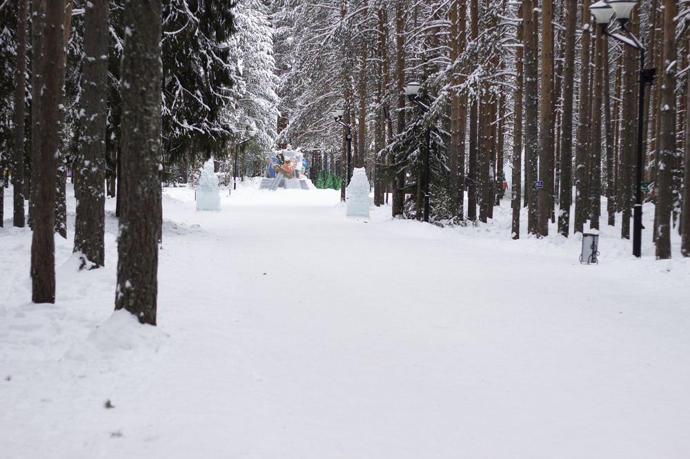 Photograph by Светлана Зотова