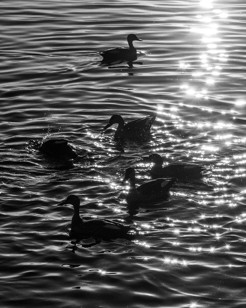 Photograph by Gourav Yadav