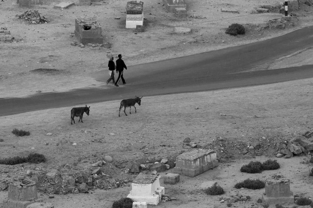 Photograph by Tatiana Varfolomeeva