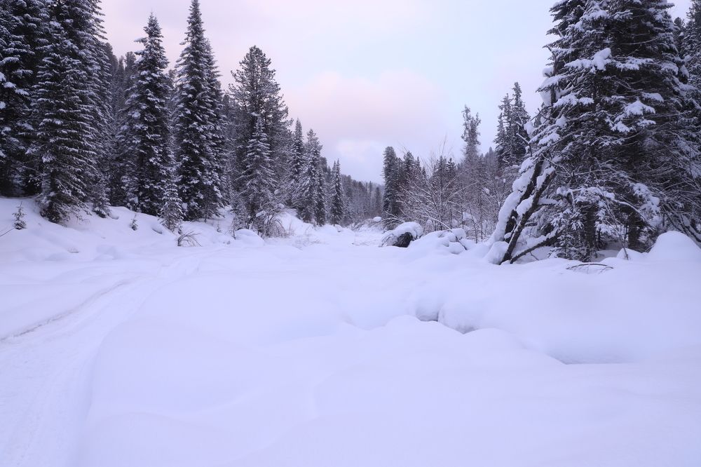 Photograph by Оксана Соколова