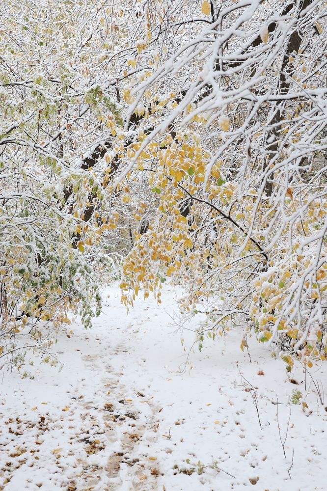 Photograph by Оксана Соколова