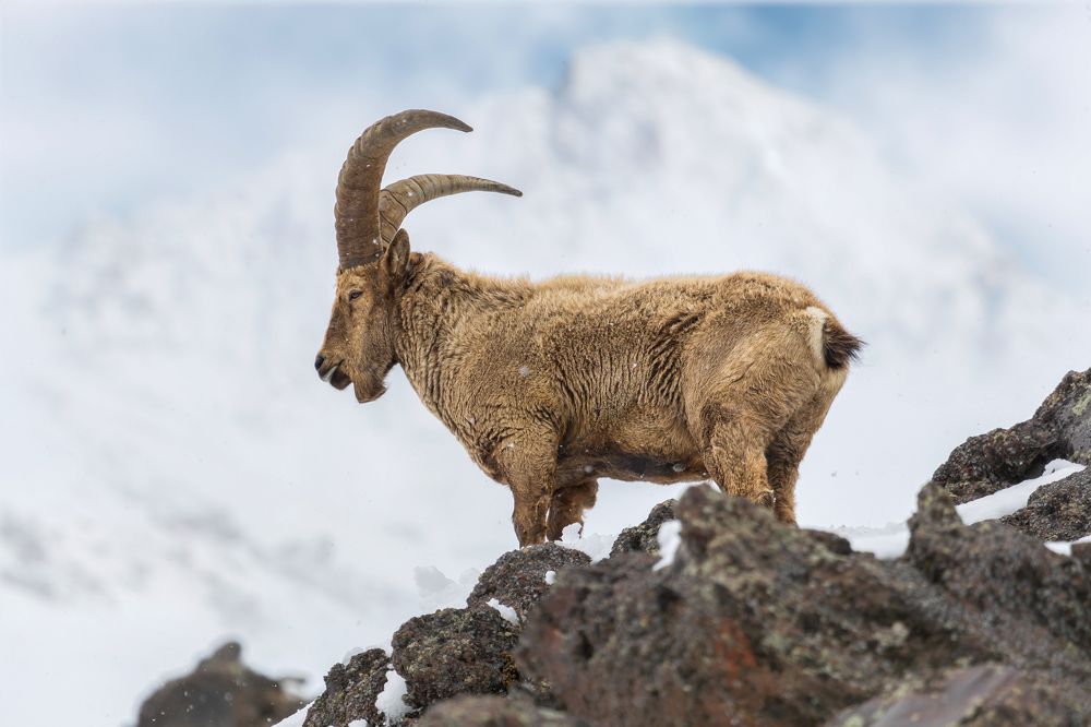 Photograph by Константин Кукушкин