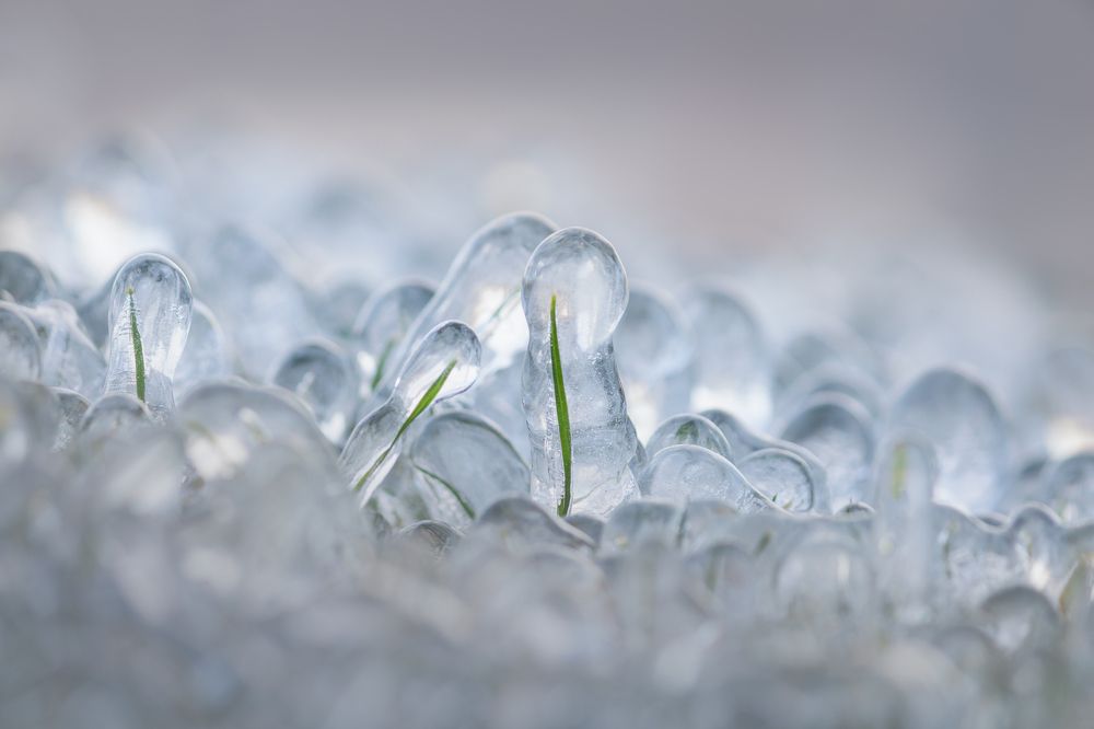 In the frozen kingdom.