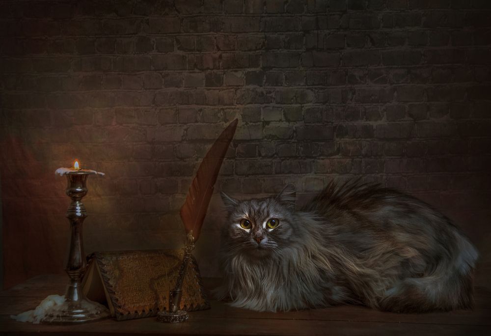 Photograph by Antonio Corrias