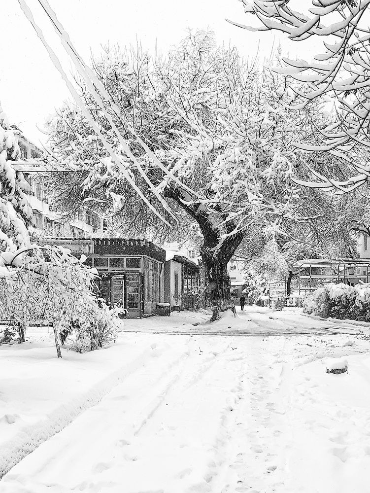 Photograph by Эмма Рахматуллина