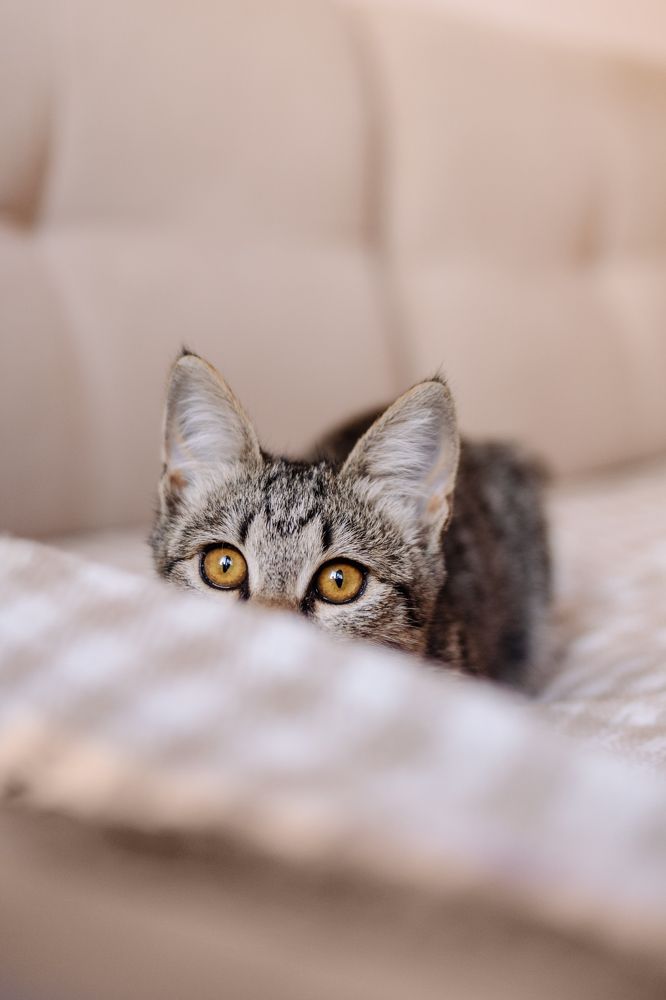 Photograph by Эльвира Грызлова