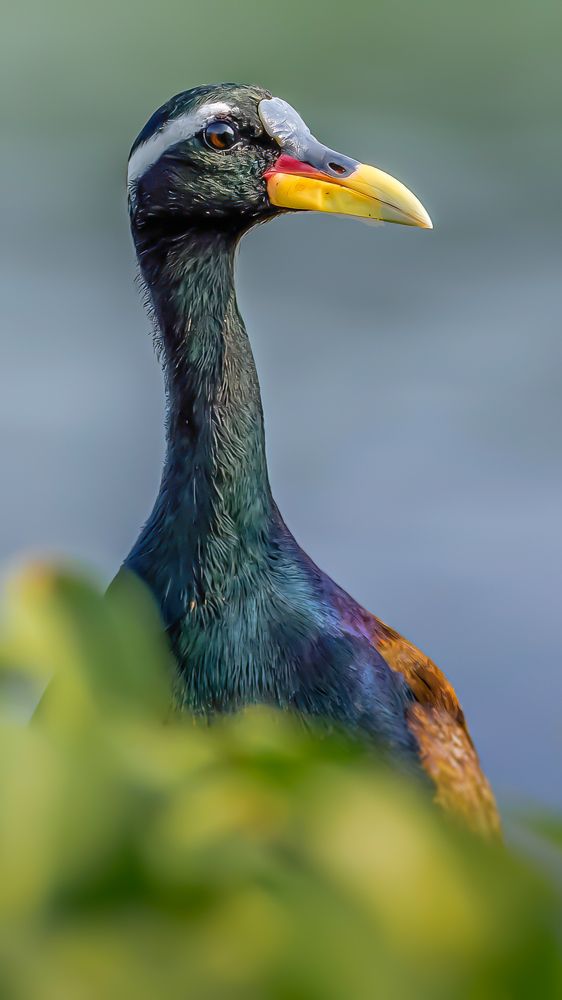 Фотография автора Sunny Vaghadia