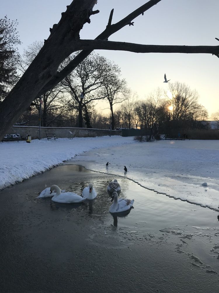 Photograph by Alena Vaganova