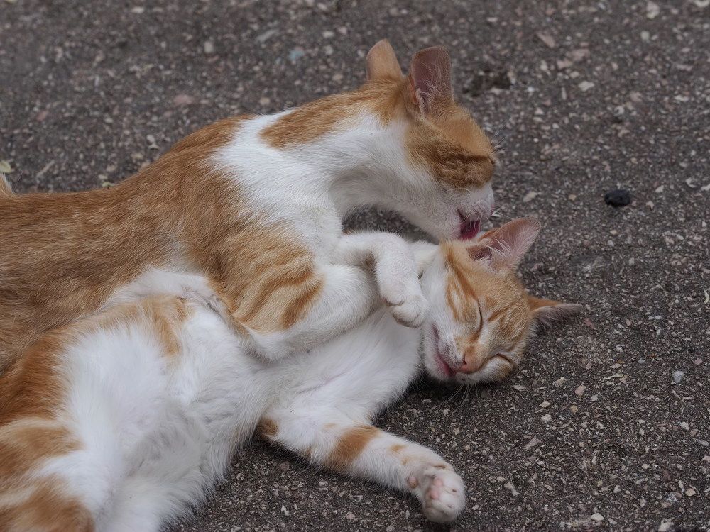 Photograph by Сергей Борисов