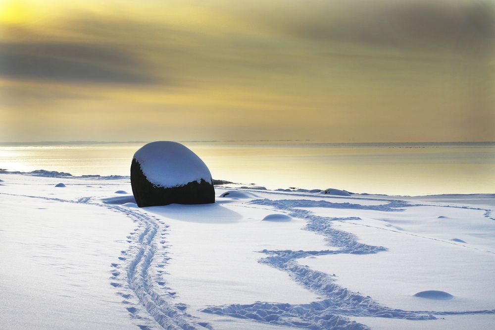 Photograph by Ivars Salmanis