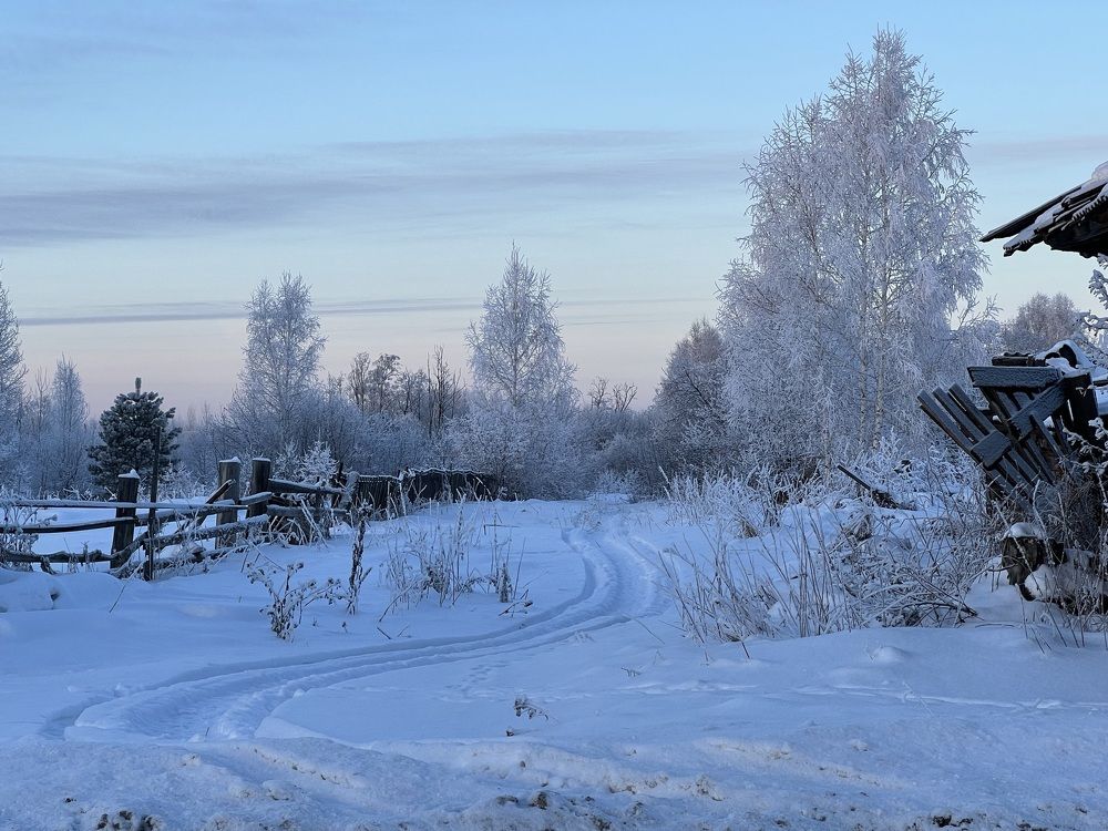 Photograph by Елена Змейкова