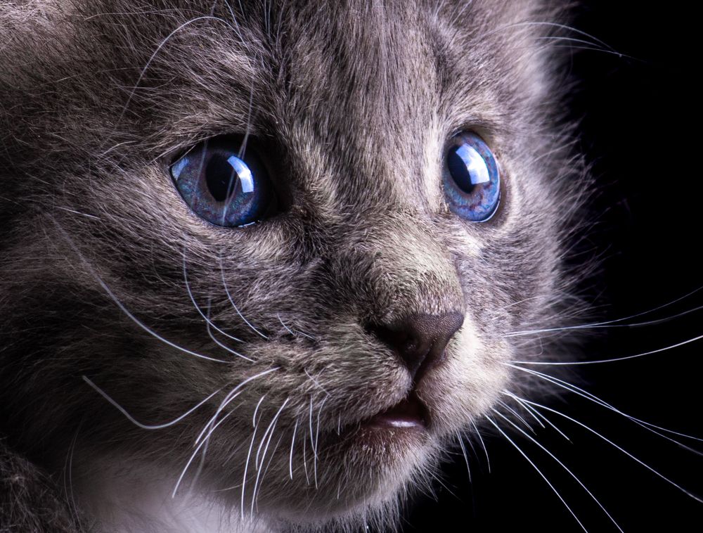 Photograph by Youness Fakoiallah