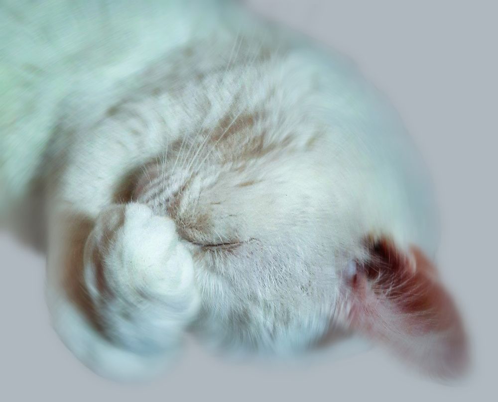 Фотография автора Дмитрий Нефёдов