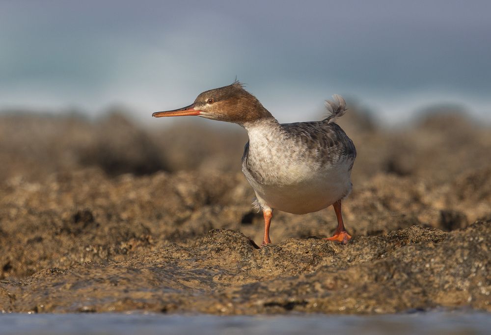 Photograph by Vasos Vasiliou