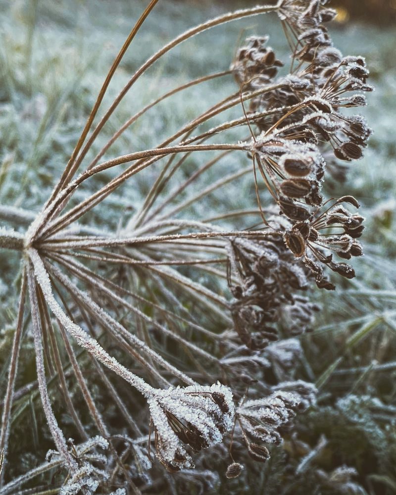 Photograph by Ольга Галкина