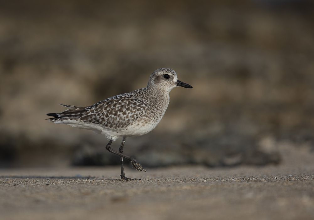 Photograph by Vasos Vasiliou