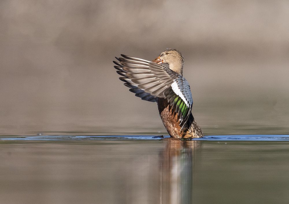 Photograph by Vasos Vasiliou