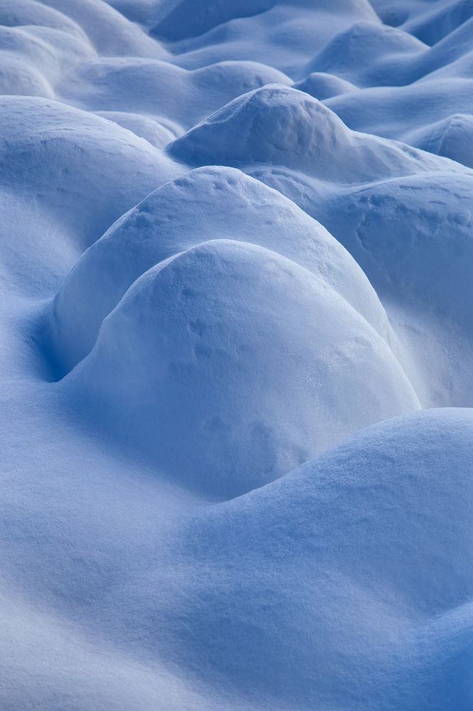 Зимние метаморфозы