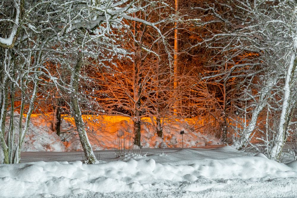 Photograph by Руслан Лесков