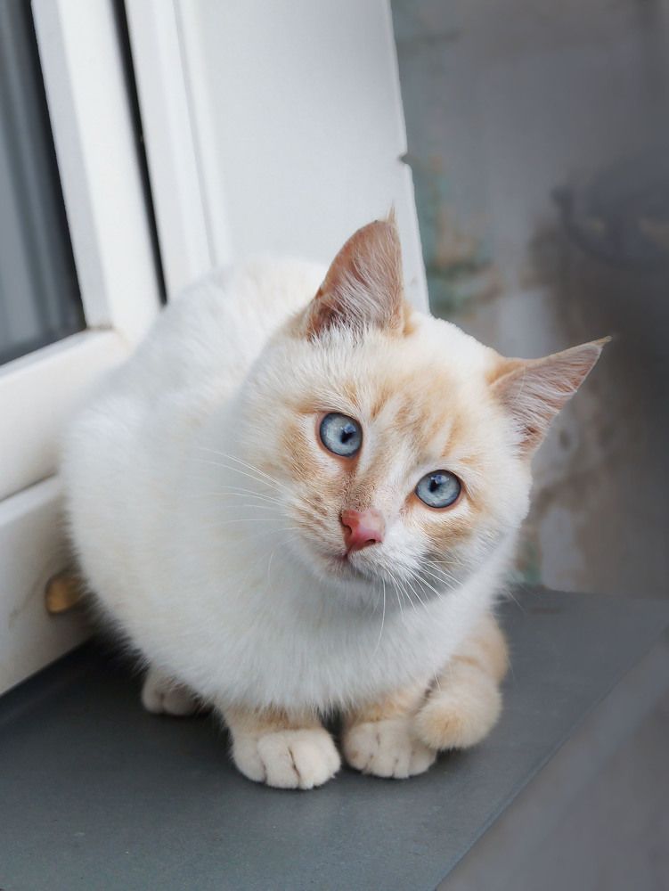 Photograph by Мишустина Татьяна