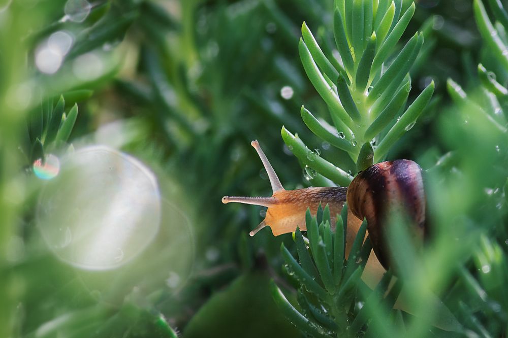 Photograph by Tonova Vania