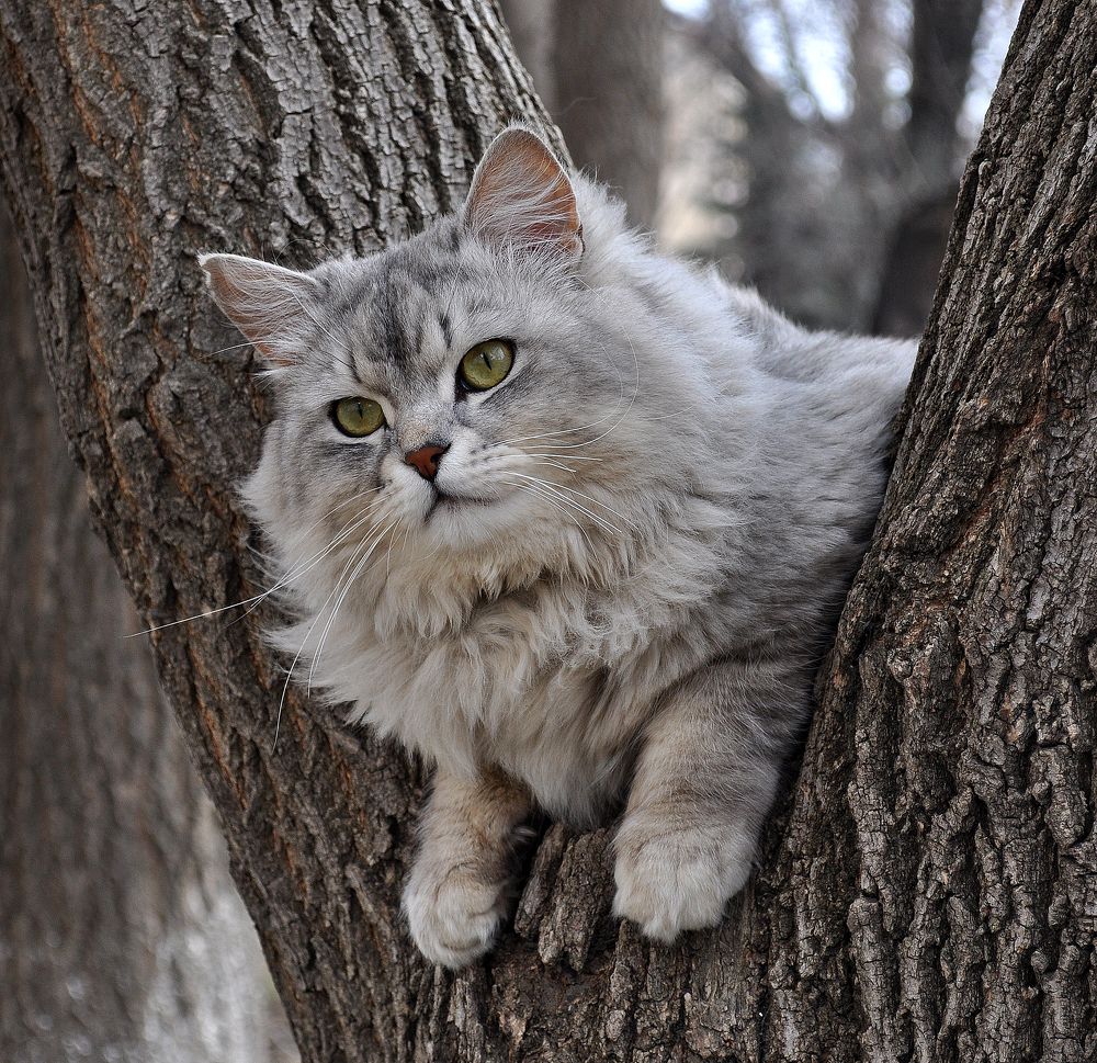 Photograph by Людмила Низова
