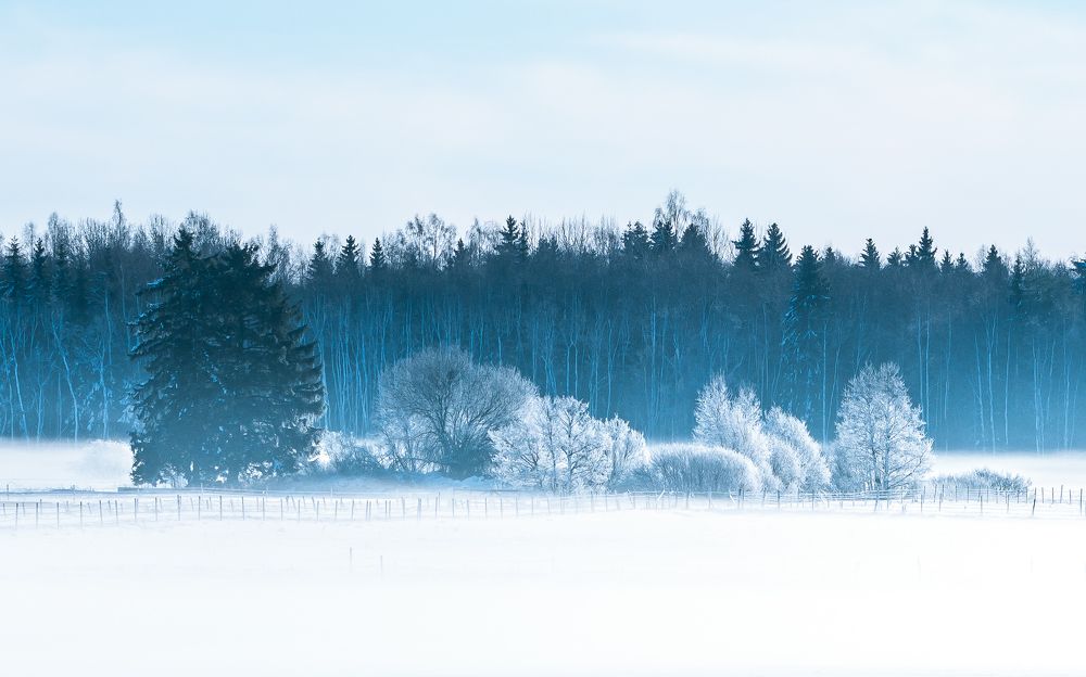 Photograph by Nikolai Mordan