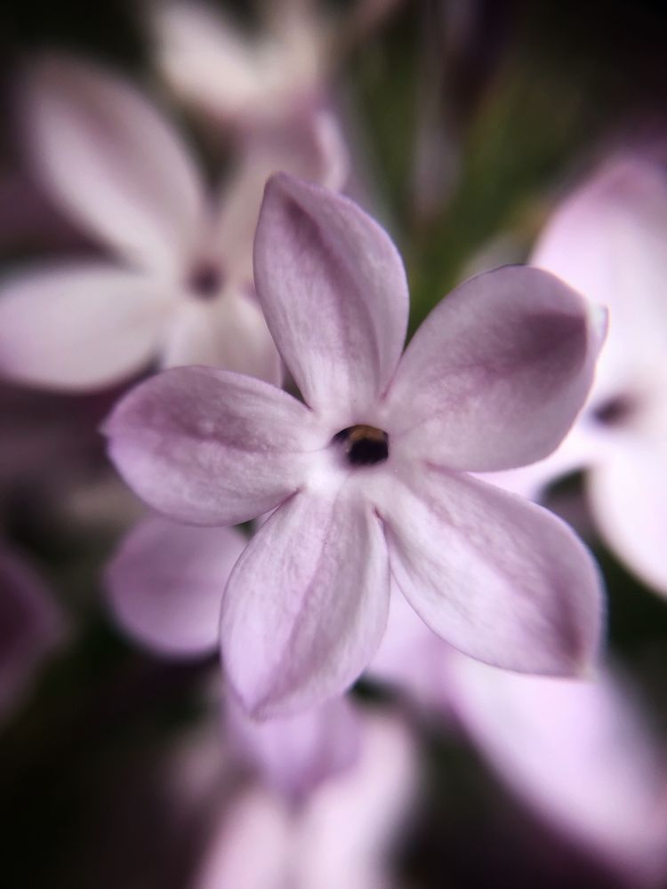 Photograph by Ксения Соснина