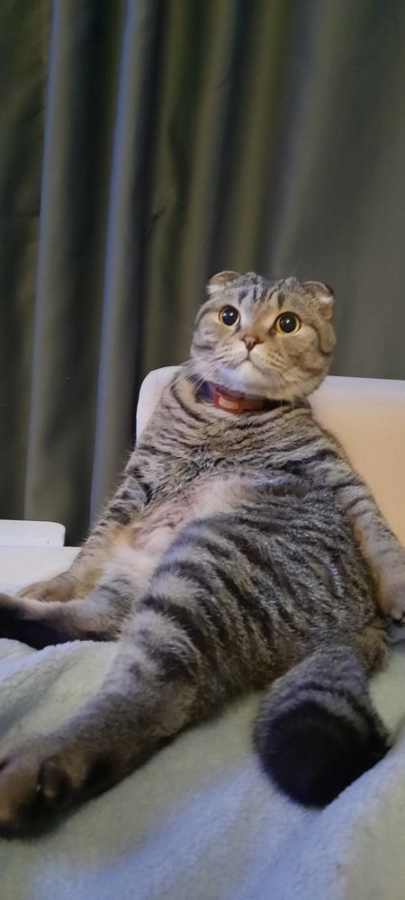 Photograph by Майя Витвицкая