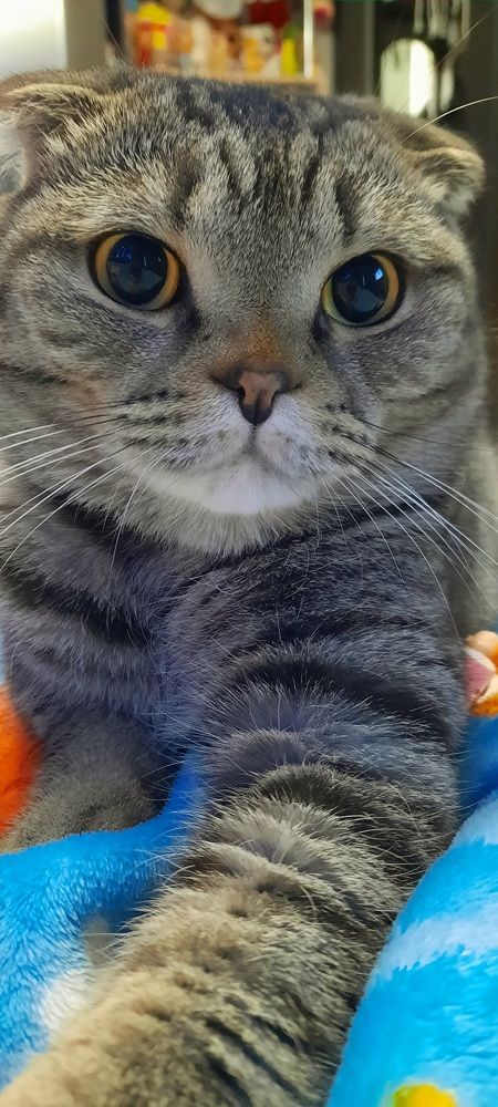 Photograph by Майя Витвицкая